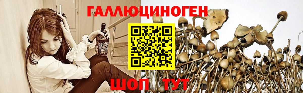 Псилоцибиновые грибы прущие грибы  Вход с VPN  Симферополь 