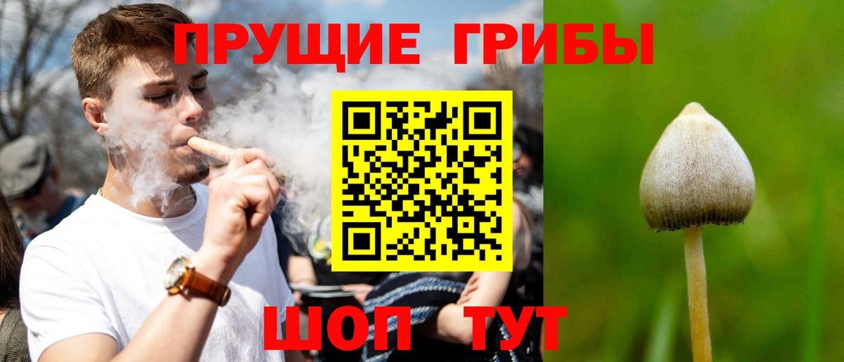 Галлюциногенные грибы мухоморы Симферополь